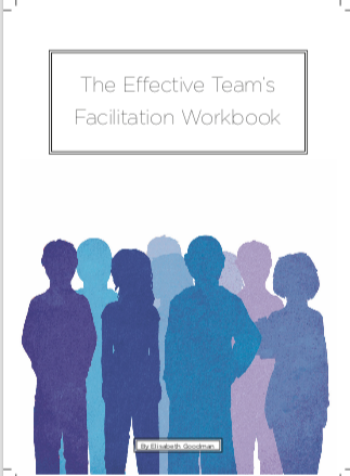 The Effective Team's Facilitation Workbook.png
